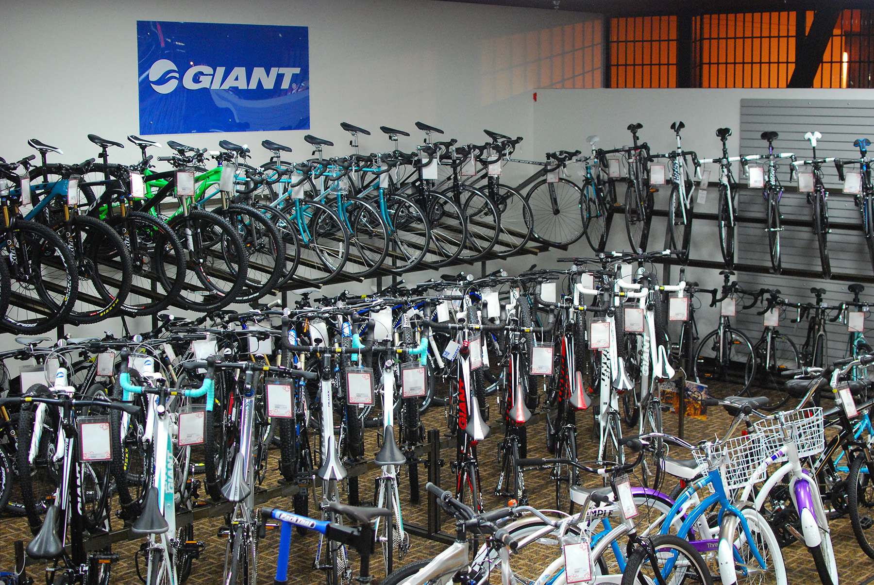 Giant discount cycles usa